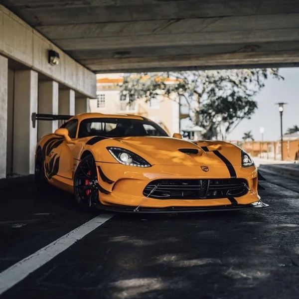 体育下注老虎机